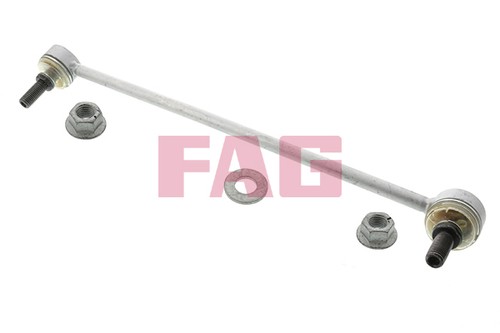Fag 818006810 asta puntone - fag,